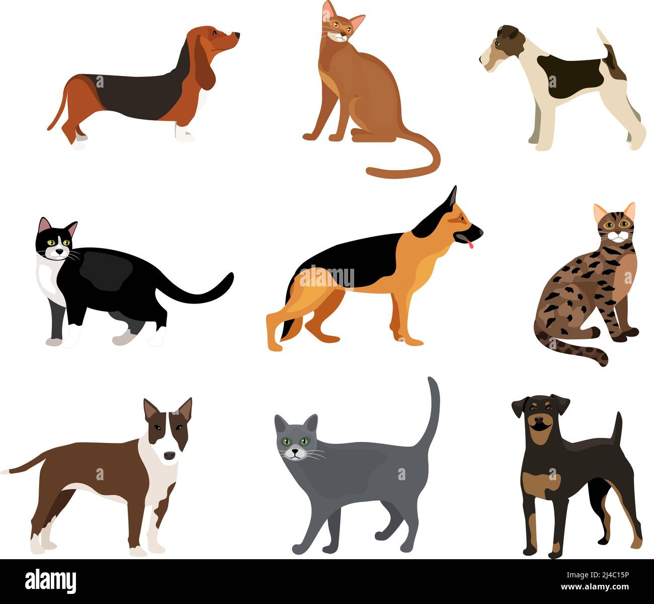 Illustrazione vettoriale di gatti e cani che mostra razze differenti che includono un rottweiler volpe terrier sangue germanico pastore e pitbull e diversi Illustrazione Vettoriale