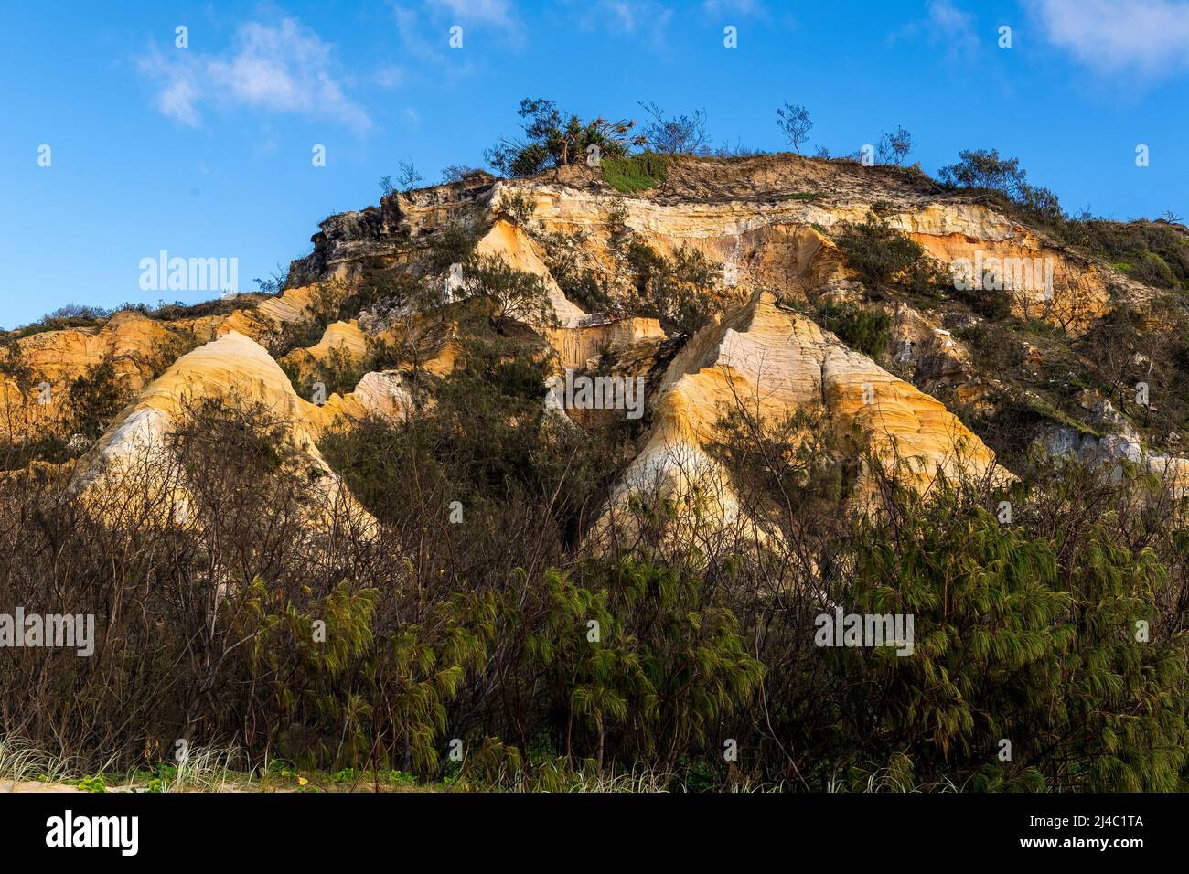 I Pinnacles sono dune di sabbia colorate sulla costa orientale, lungo Seventy Five Mile Beach a Fraser Island, Queensland, Australia Foto Stock