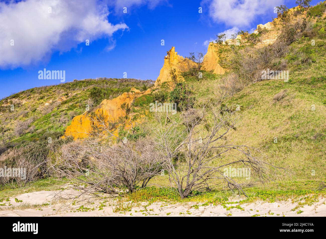 I Pinnacles sono dune di sabbia colorate sulla costa orientale, lungo Seventy Five Mile Beach a Fraser Island, Queensland, Australia Foto Stock