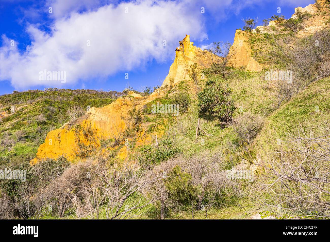 I Pinnacles sono dune di sabbia colorate sulla costa orientale, lungo Seventy Five Mile Beach a Fraser Island, Queensland, Australia Foto Stock