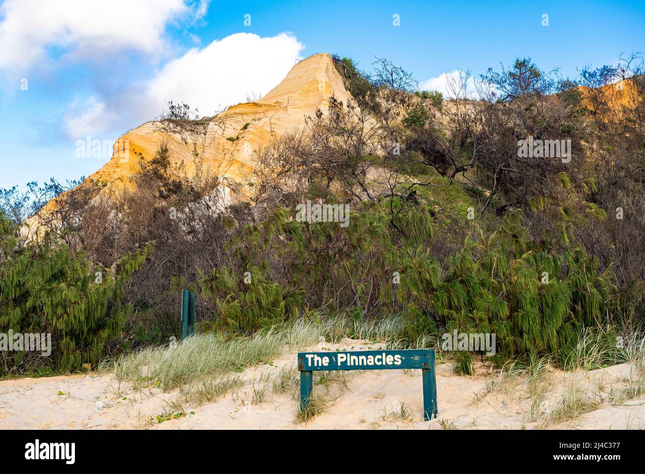 I Pinnacles sono dune di sabbia colorate sulla costa orientale, lungo Seventy Five Mile Beach a Fraser Island, Queensland, Australia Foto Stock