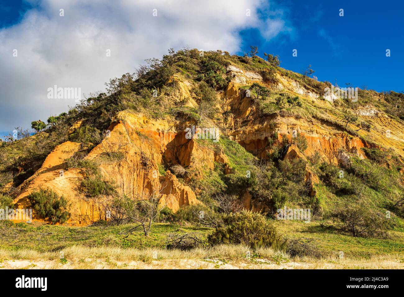 I Pinnacles sono dune di sabbia colorate sulla costa orientale, lungo Seventy Five Mile Beach a Fraser Island, Queensland, Australia Foto Stock