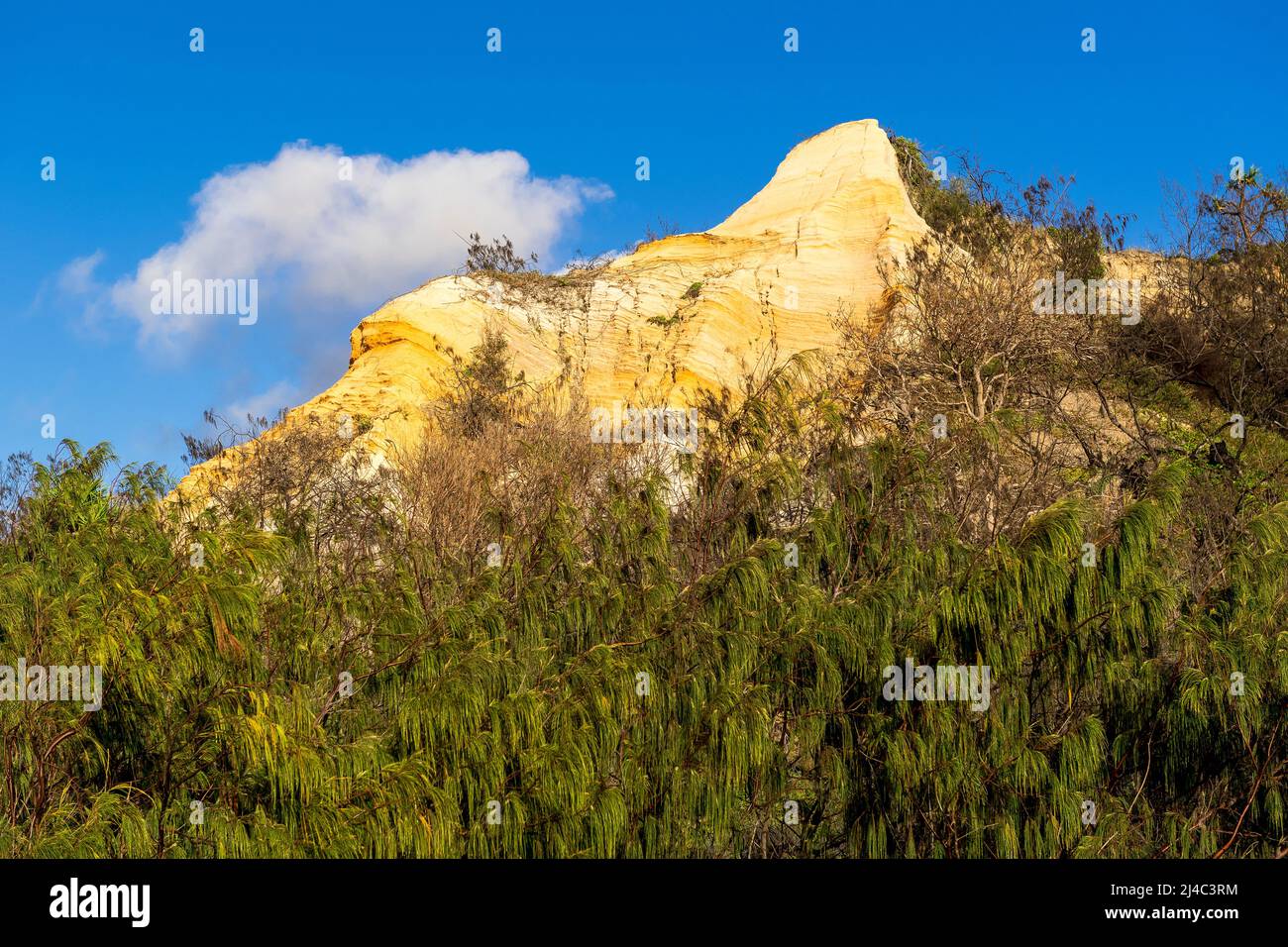 I Pinnacles sono dune di sabbia colorate sulla costa orientale, lungo Seventy Five Mile Beach a Fraser Island, Queensland, Australia Foto Stock