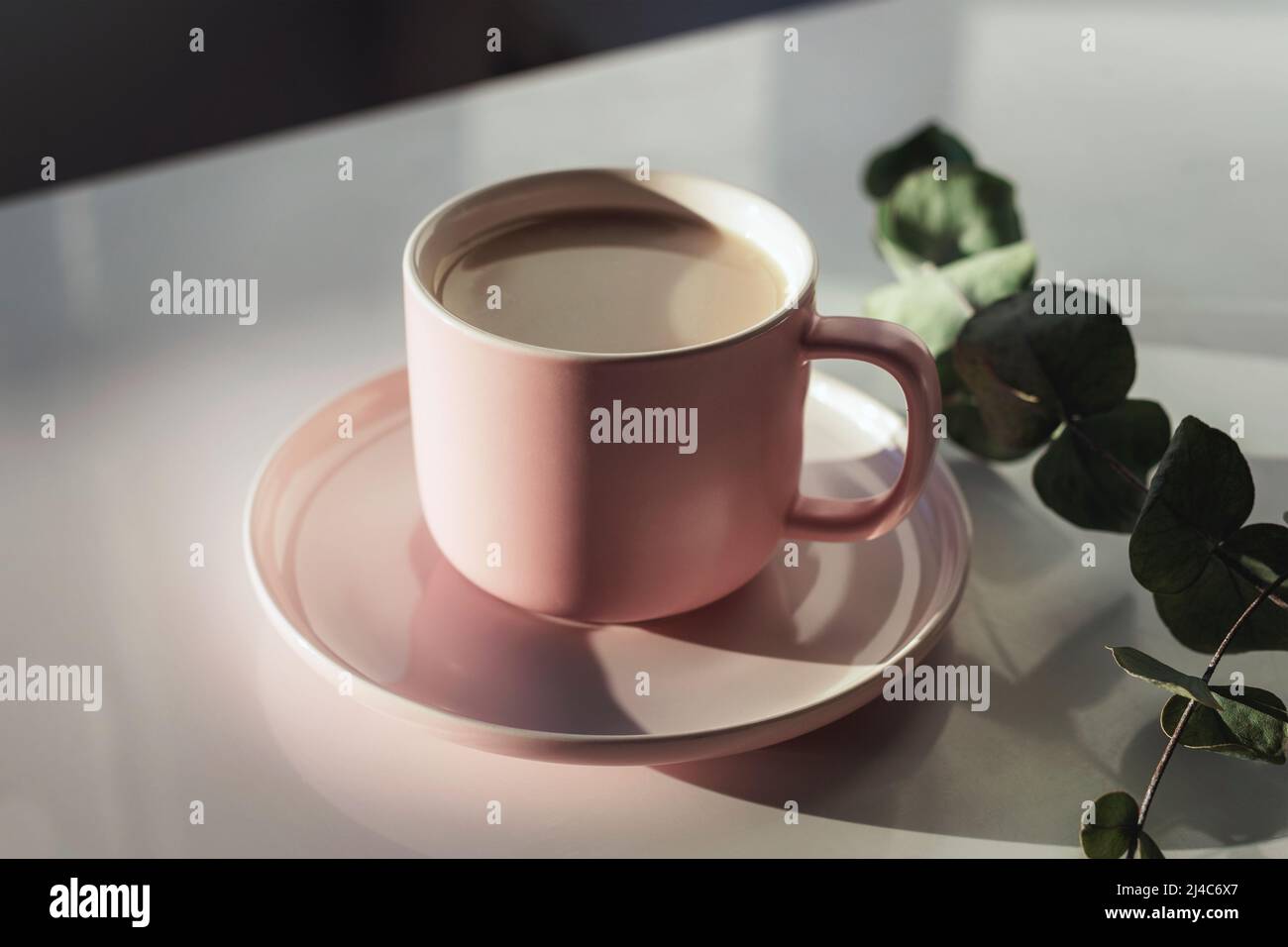 Tazza di caffè su un tavolo bianco e ramo di eucalipto con ombre dure. Foto Stock