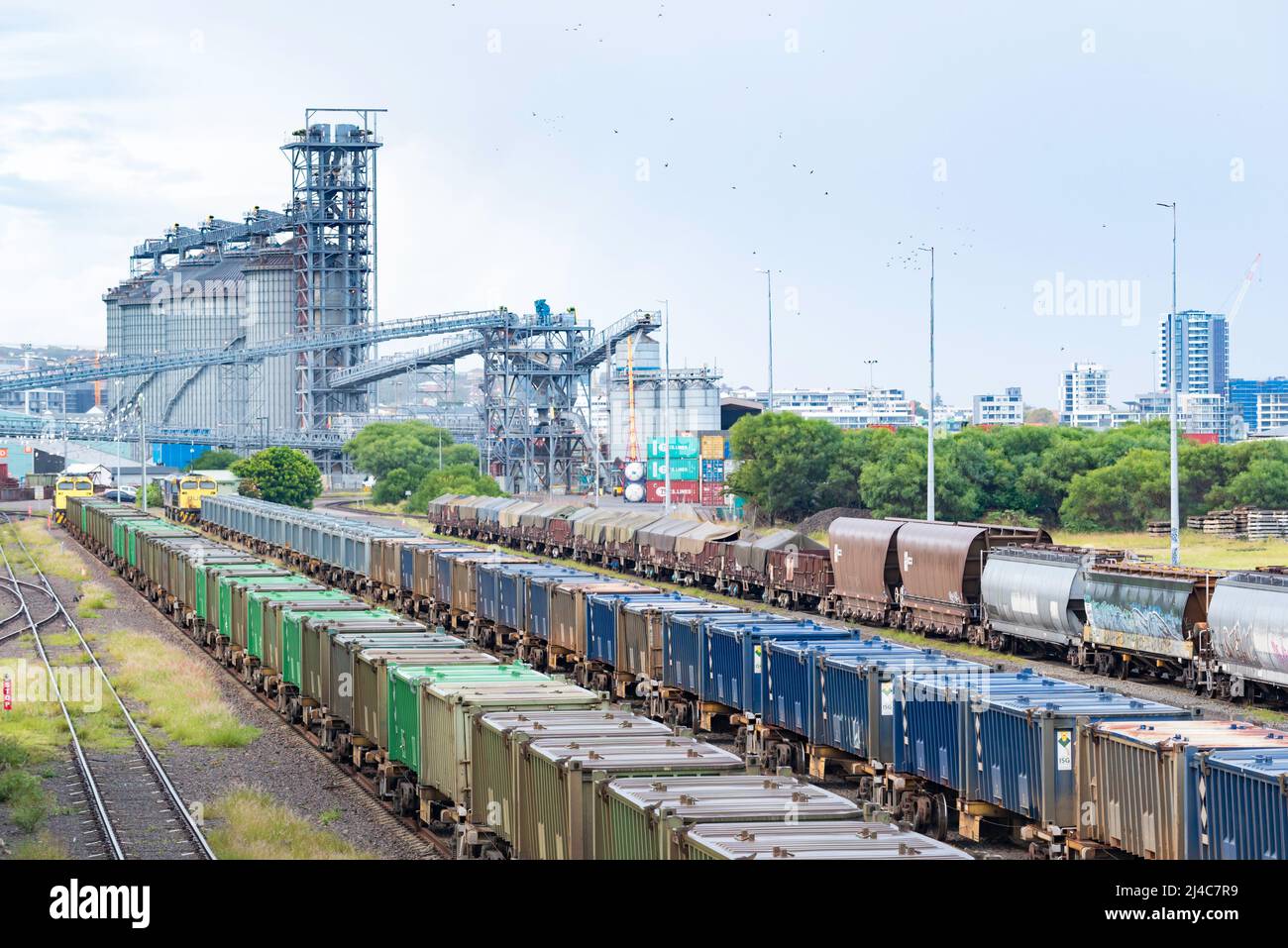 Carbone e altri prodotti minerari auto o carri ferroviari allineati a Port Waratah Coal Services Terminal a Carrington New South Wales, Australia Foto Stock