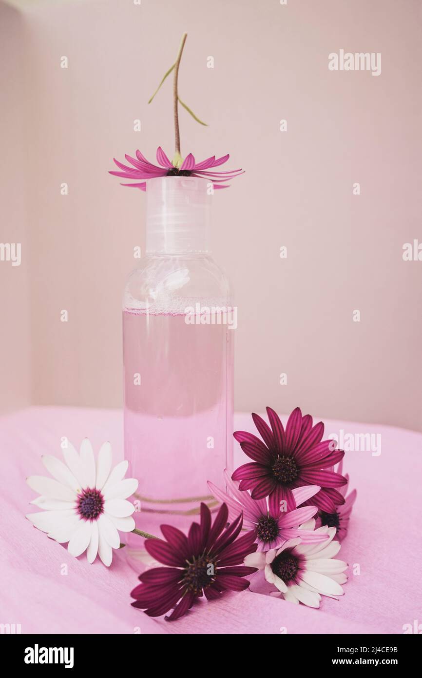 Vita di stagione ancora di fresco eco lozione viso con fiori freschi in tonalità rosa Foto Stock