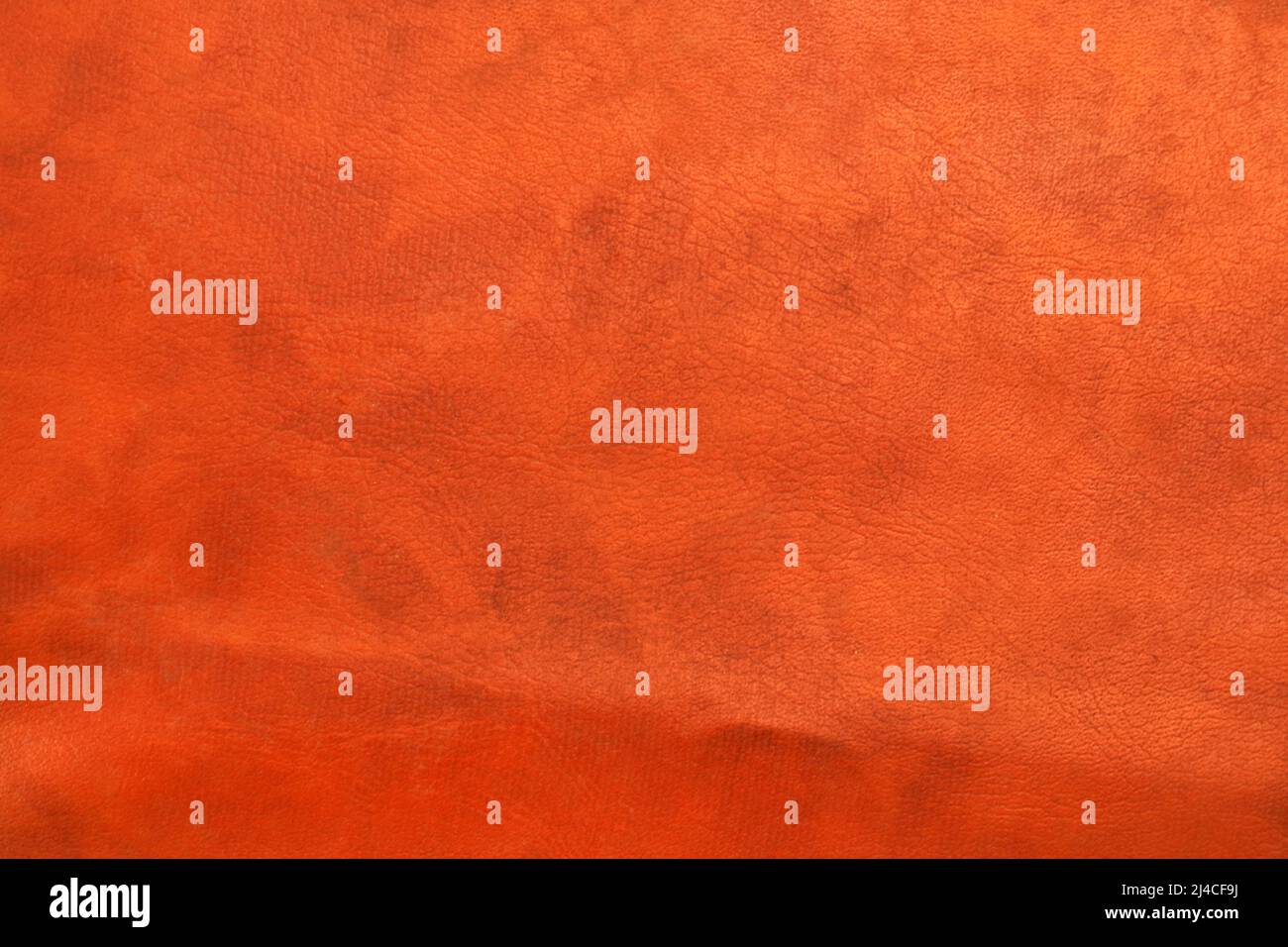 studio fotografico in similpelle arancione scuro Foto Stock