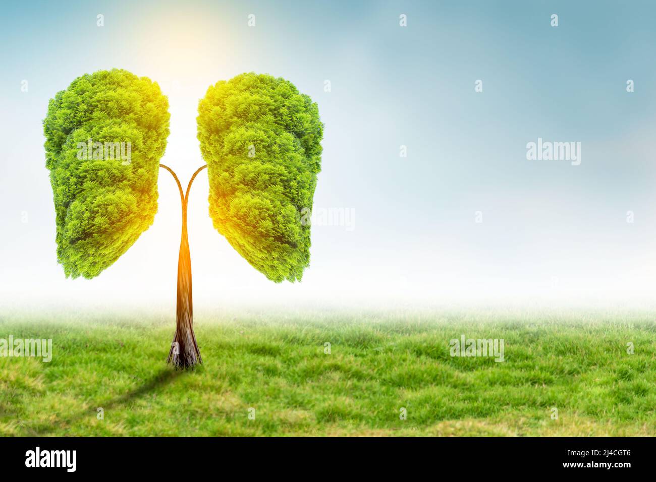 Illustrazione dell'albero polmonare (ambiente e medicina) Foto Stock