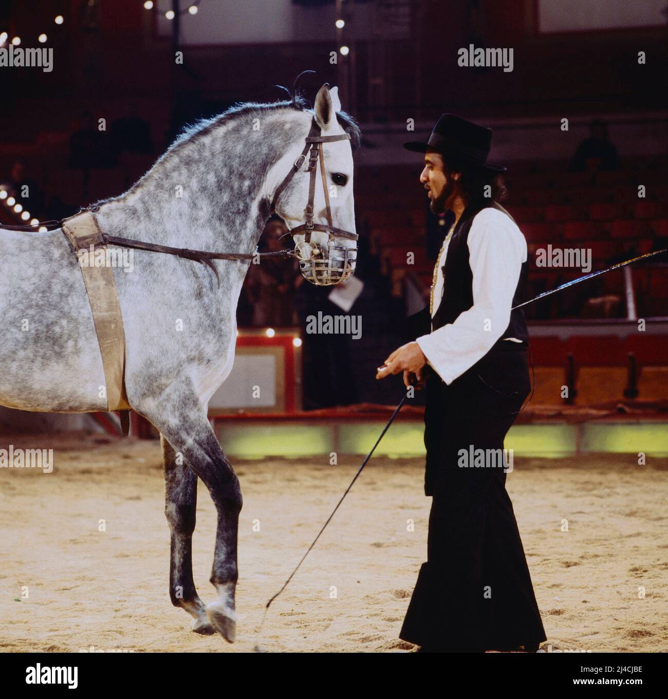 Star in der Manege, AZ Gala, ZDF-Aufzeichnung aus dem Circus Krone in München, Deutschland, 1978, im Bild: Danyel Gerard, Französischer Sänger, bei einer Dressur mit Zirkuspferd. Star in der Manege, Gala, registrazione TV dal Circus Krone a Monaco di Baviera, Germania, 1978, nella foto: Cantante francese Danyel Gerard che fa dressage con cavallo circense. Foto Stock