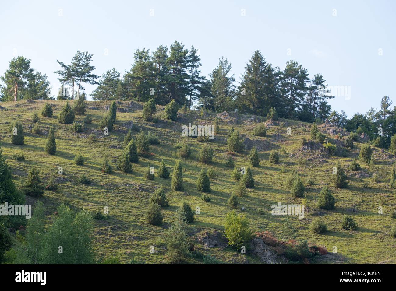 Piste asciutte e massi nei pressi di Pottenstein, in bella luce solare, successione naturale, Pottenstein, Baviera Foto Stock