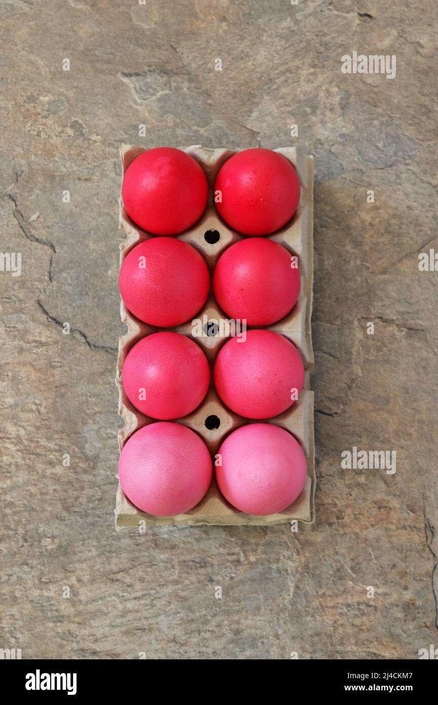 Primo piano uova di Pasqua rustiche imballaggio Rosso Gradient colore Foto Stock