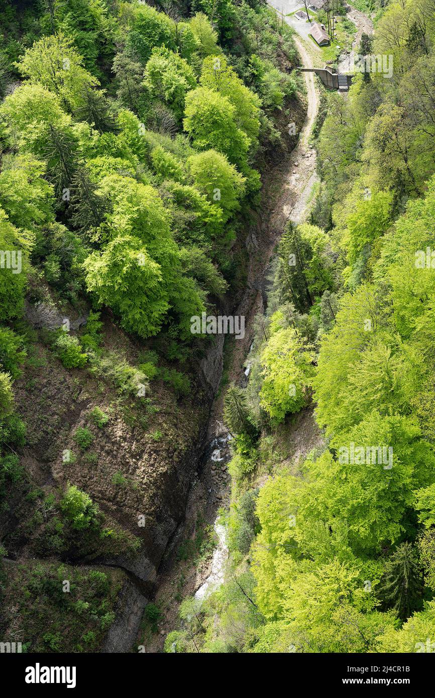 Gummischlucht, Gola sotto il ponte sospeso di Sigriswil, Canton Berna, Svizzera Foto Stock