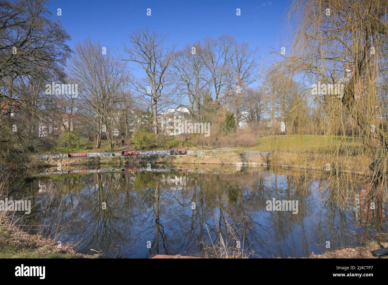 Pond, Steglitzer Stadtpark, Steglitz, Steglitz-Zehlendorf, Berlino, Germania Foto Stock