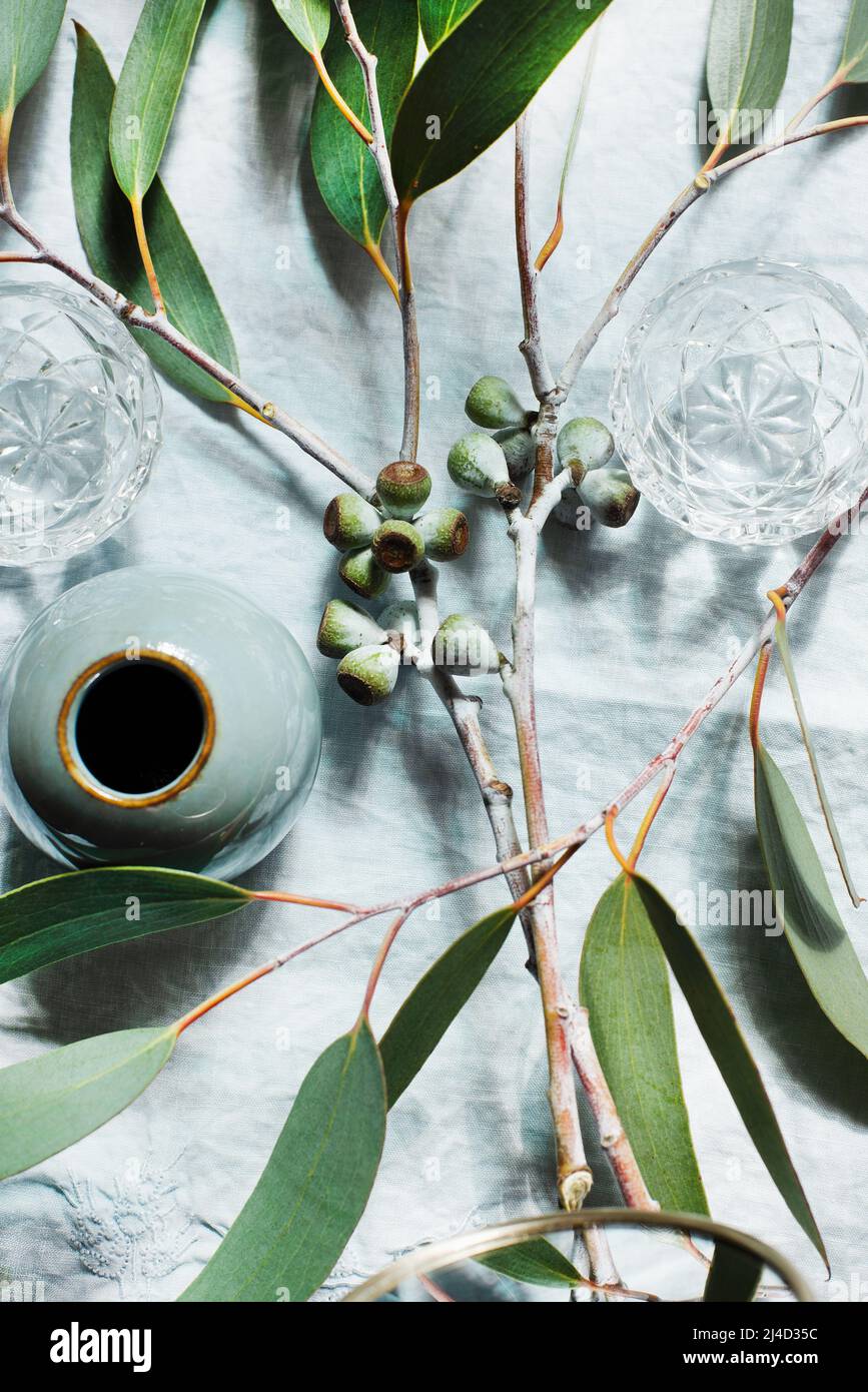 Ancora vita con rametti di olive Foto Stock