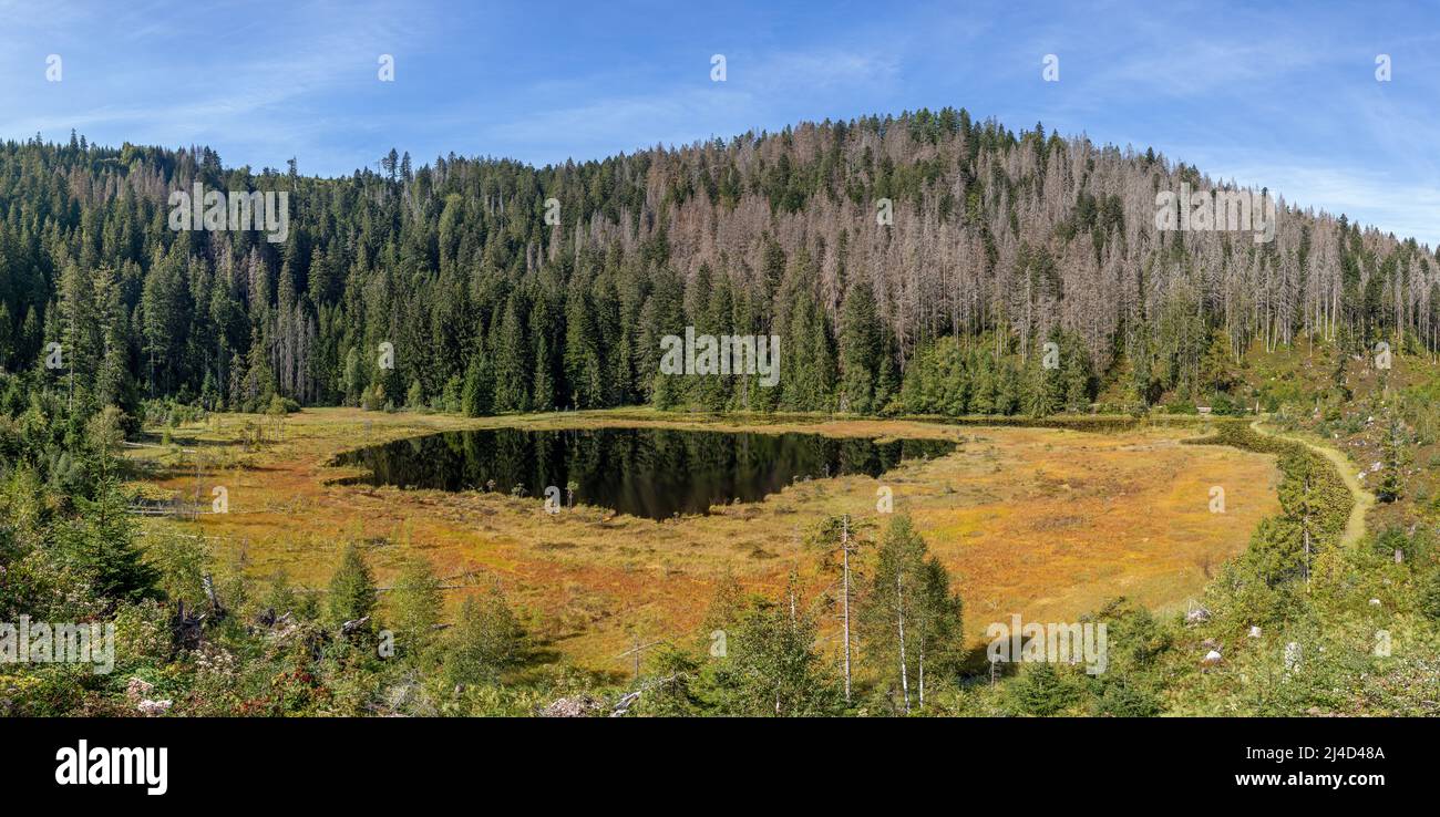 Lago Huzenbach nella Foresta Nera, Germania Foto Stock