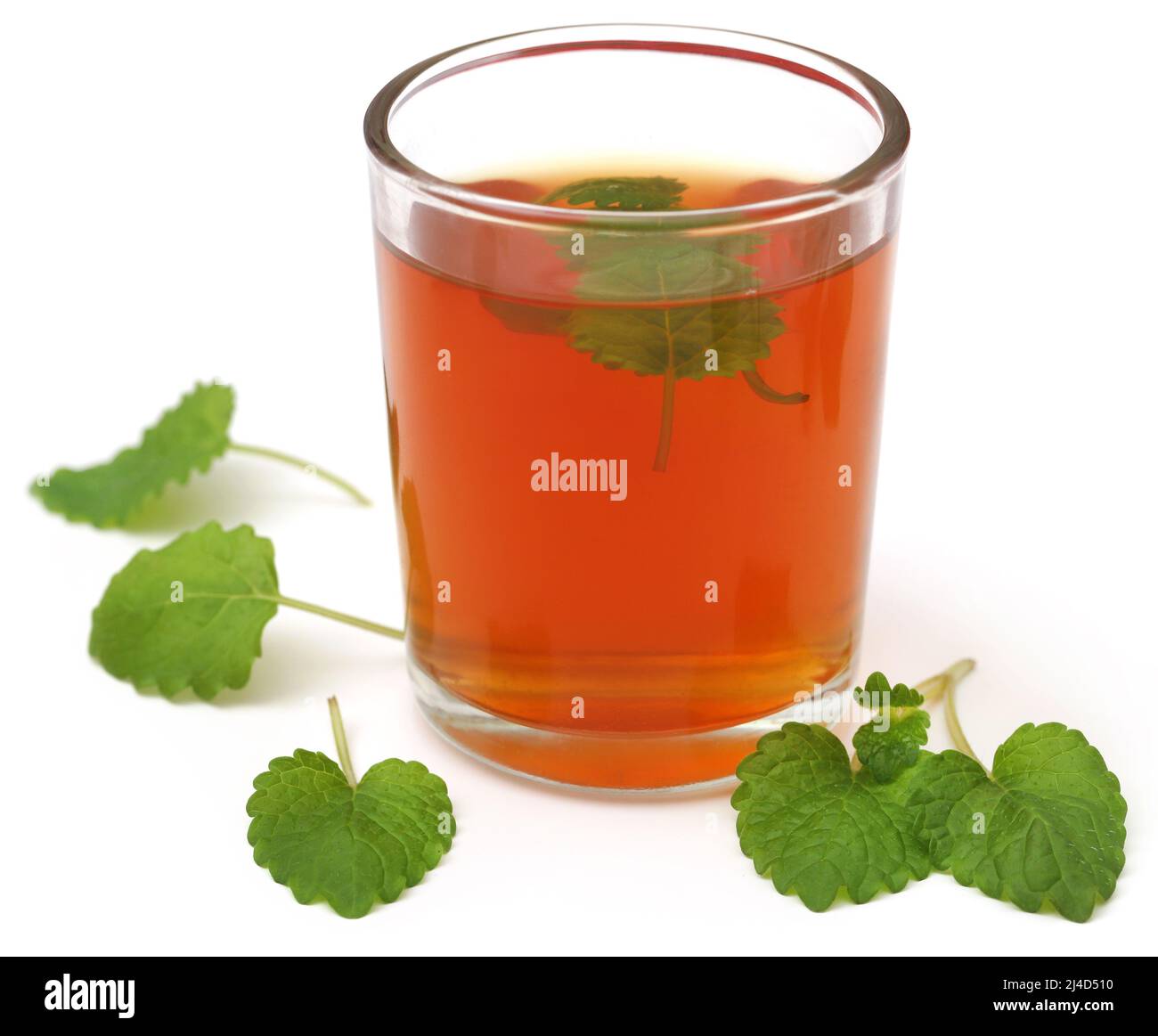 Foglie di balsamo al limone con tè alle erbe in un bicchiere trasparente su sfondo bianco Foto Stock
