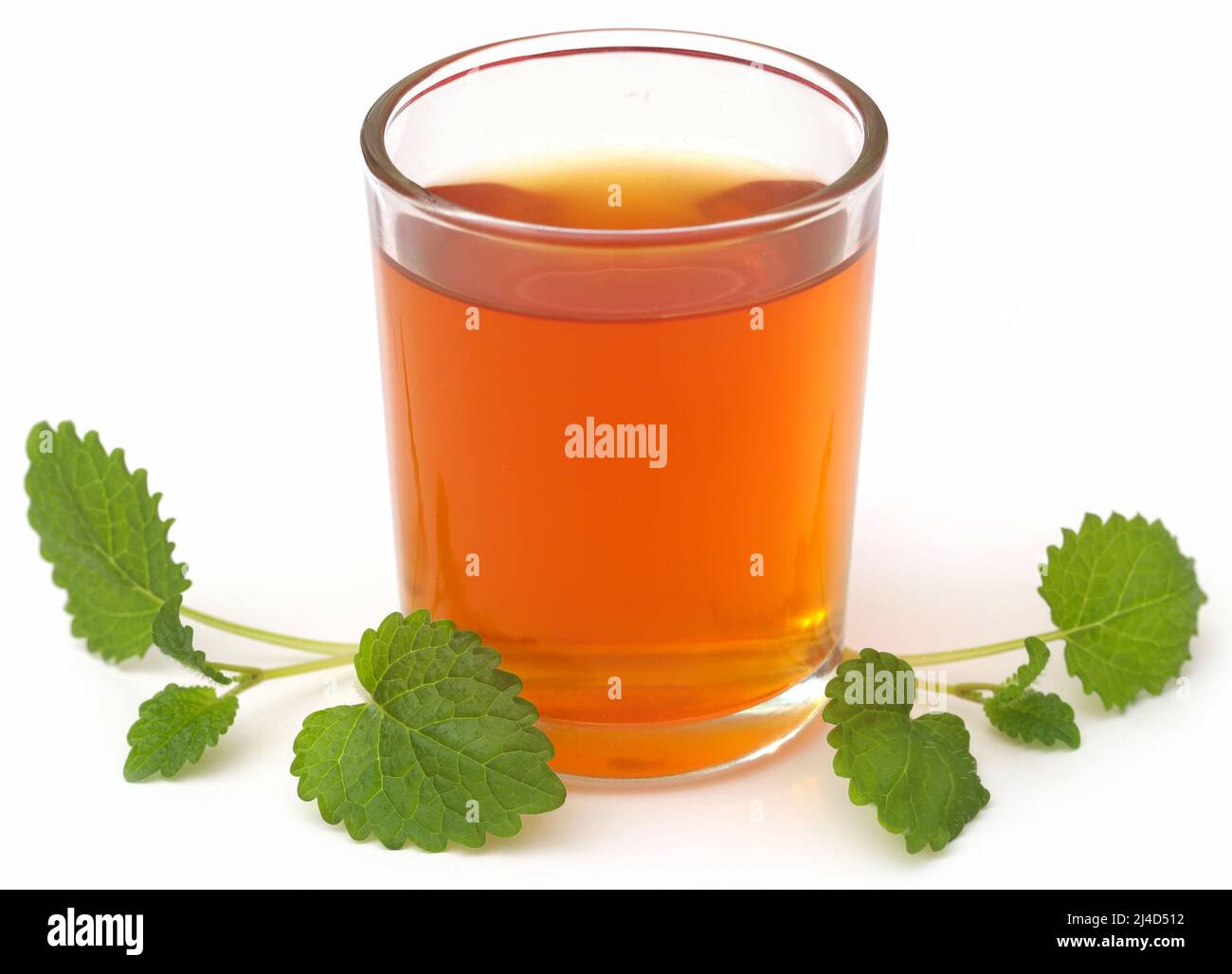 Foglie di balsamo al limone con tè alle erbe in un bicchiere trasparente su sfondo bianco Foto Stock