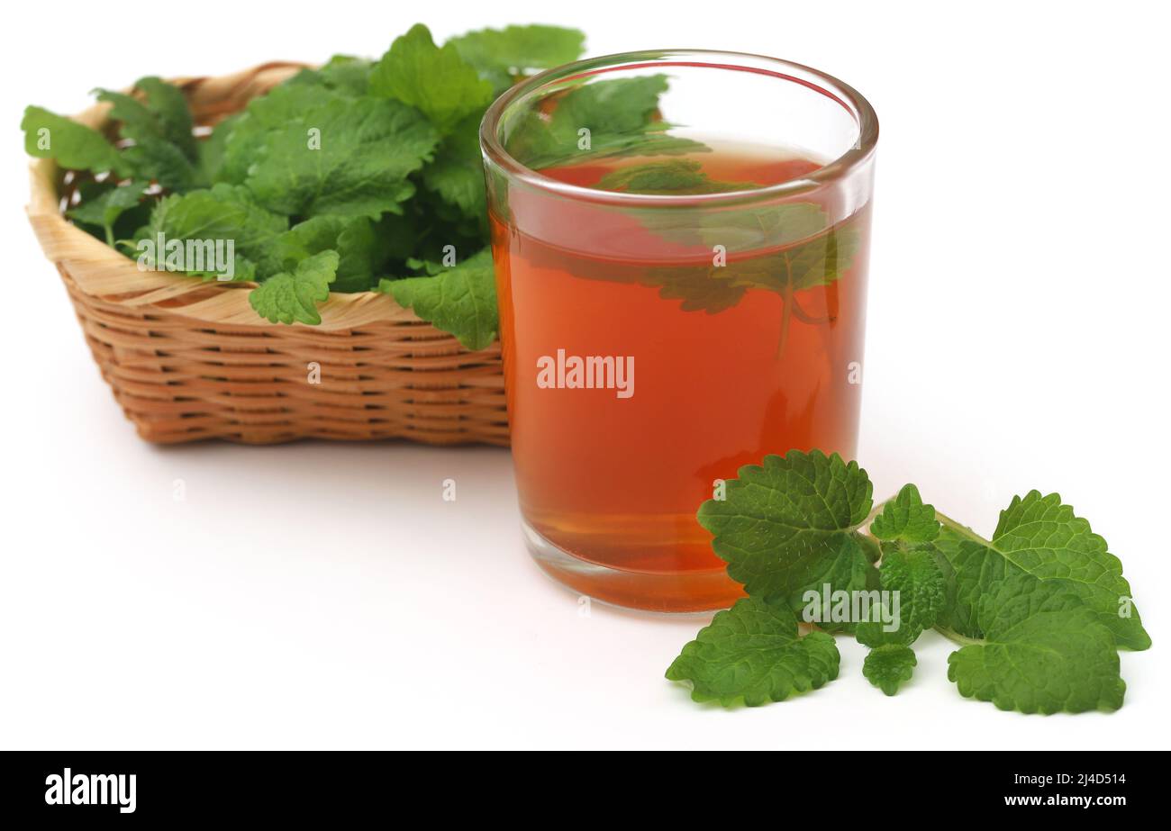 Foglie di balsamo al limone con tè alle erbe in un bicchiere trasparente su sfondo bianco Foto Stock