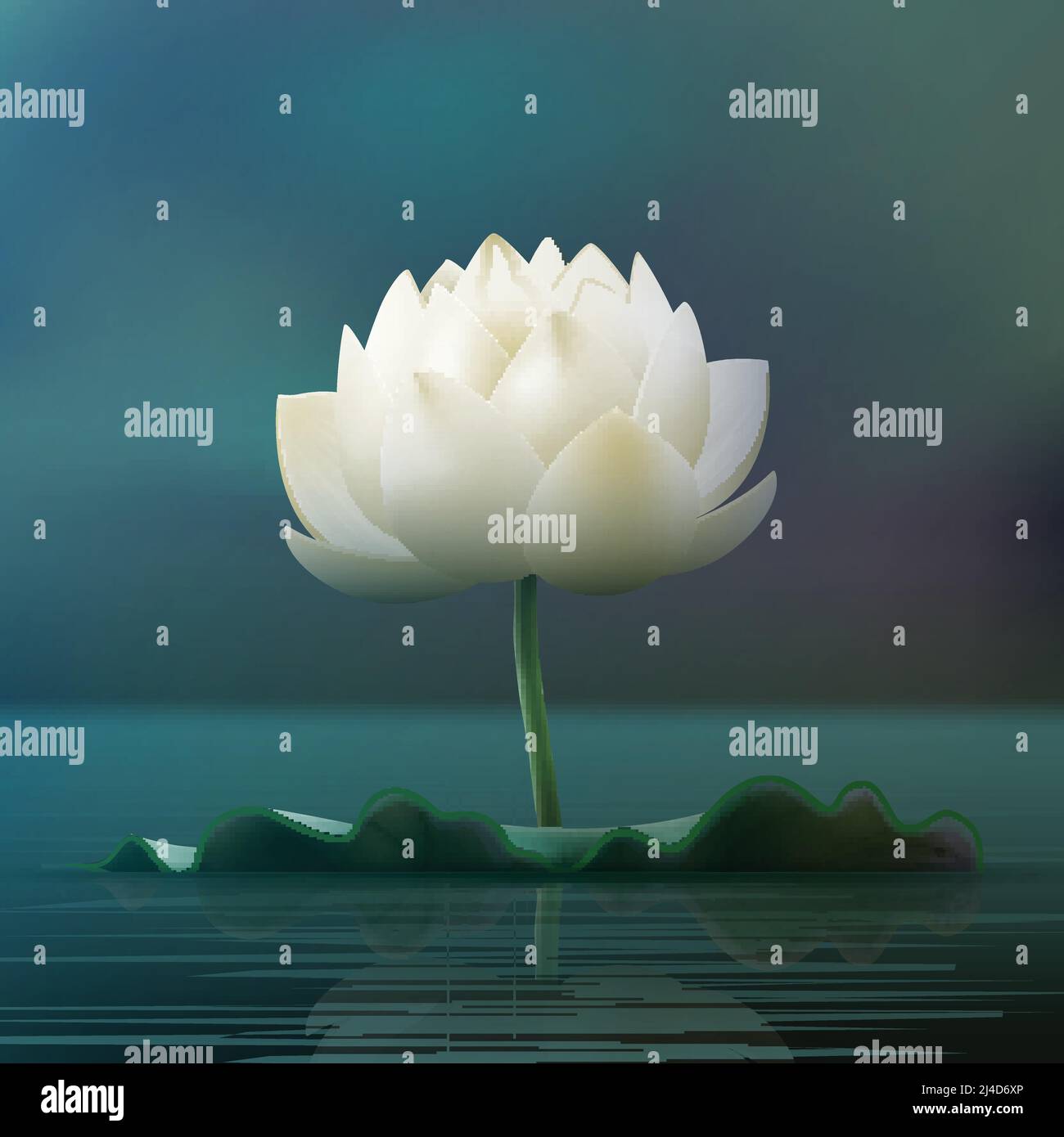 Vector White loto fiore pad in laghetto isolato su sfocatura sfondo Illustrazione Vettoriale