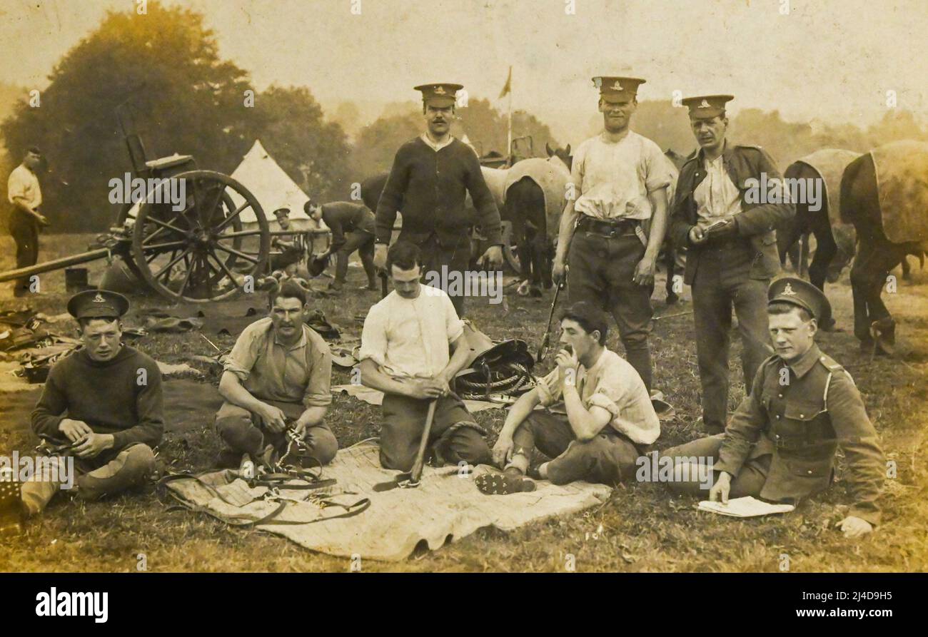 Prima Guerra Mondiale soldato Sgt Walter Caccia dell'Artiglieria Cavallo Foto di vecchio gruppo nel campo Foto Stock
