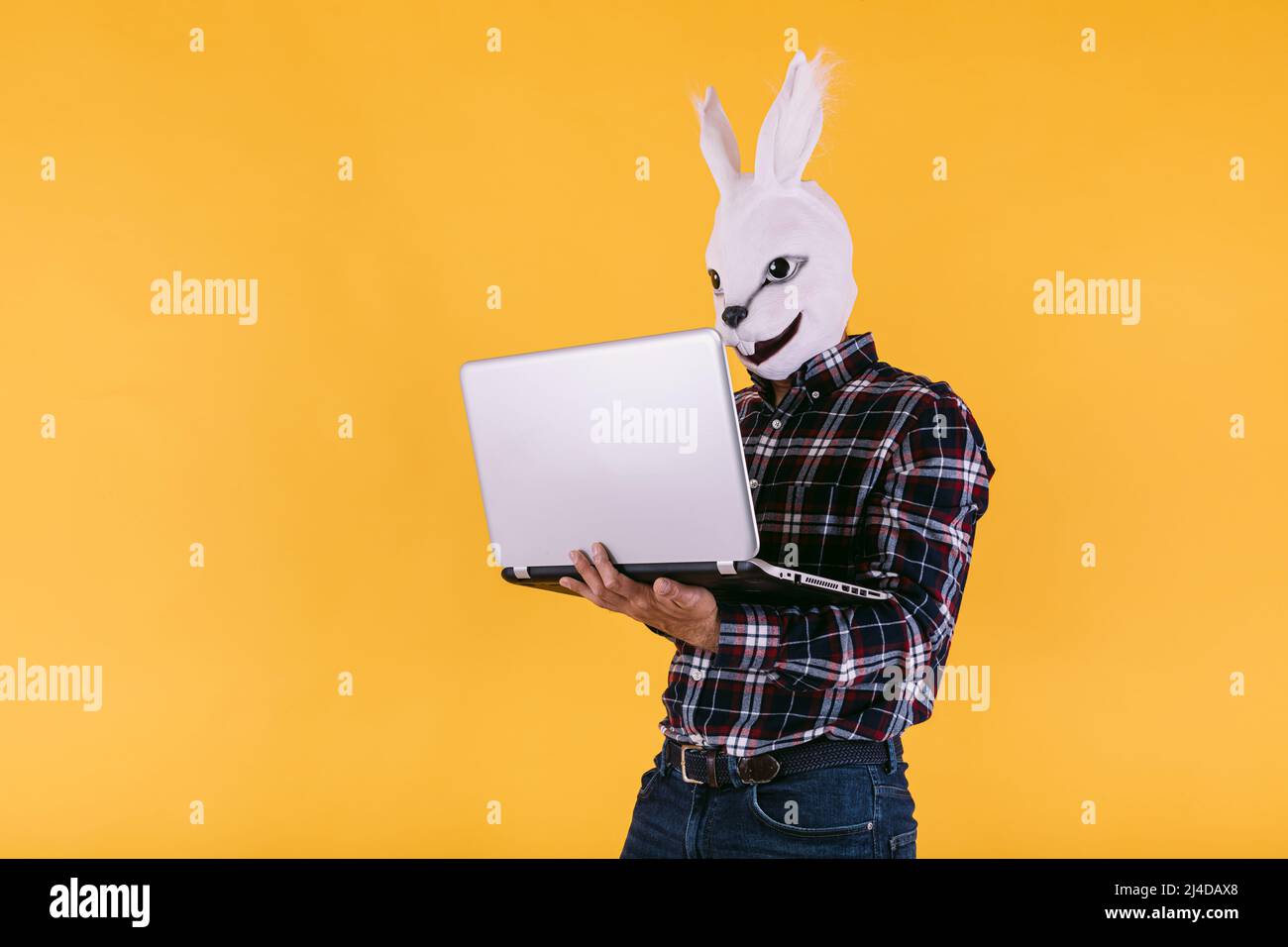 Persona mascherata in maschera di coniglio con camicia a scacchi e jeans, tenendo un computer portatile funzionante, su sfondo giallo. Carnevale, festa, pasqua e celebratio Foto Stock