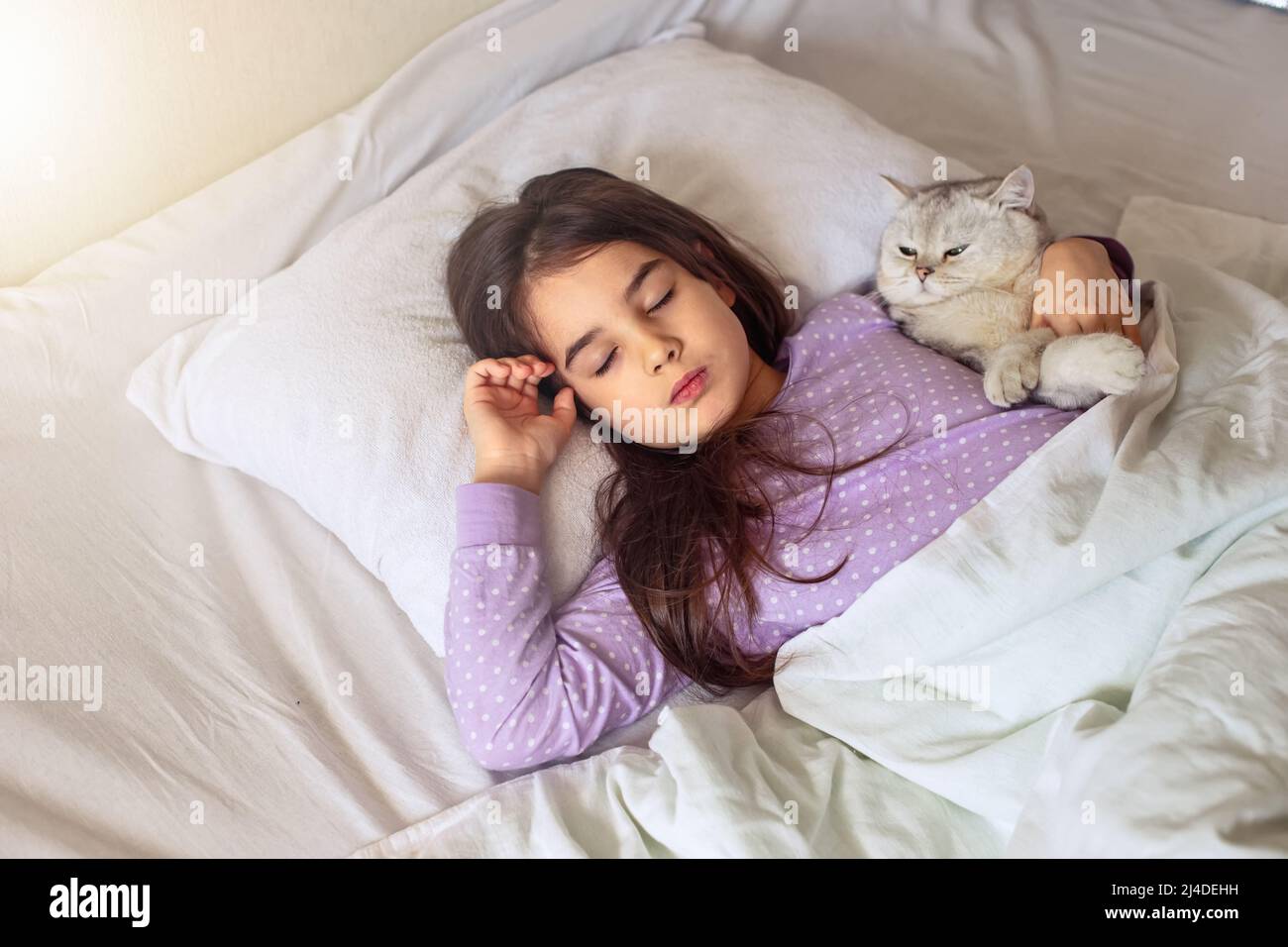 Una bambina di brunette in pigiama viola dorme abbracciando un gatto bianco affascinante adagiato su un cuscino bianco sul letto. Foto Stock