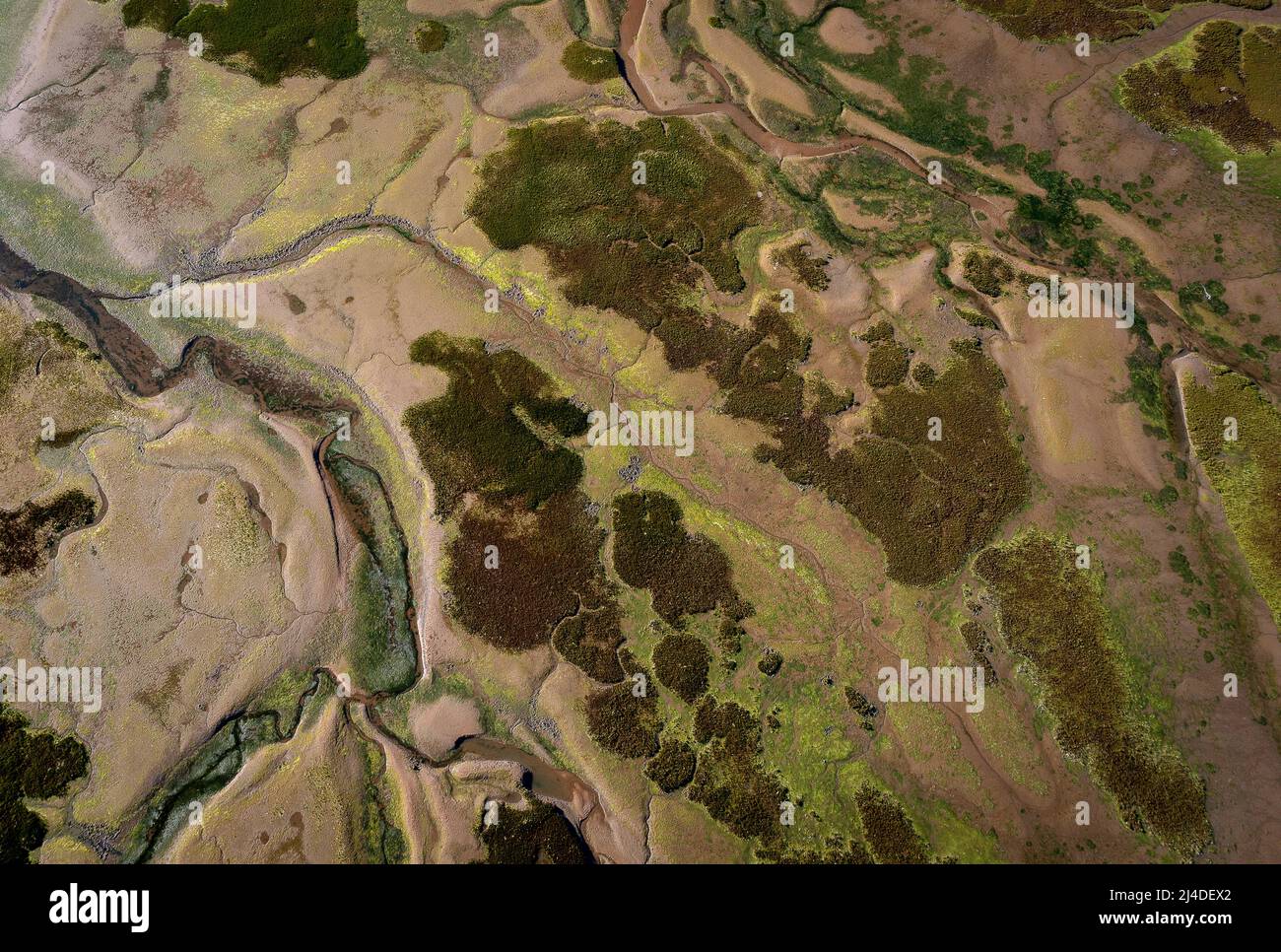 Riserva della biosfera dell'estuario di Urdaibai, estuario del fiume Oka, regione di Gernika-Lumo, provincia di Biscay, Paesi Baschi, Spagna Foto Stock