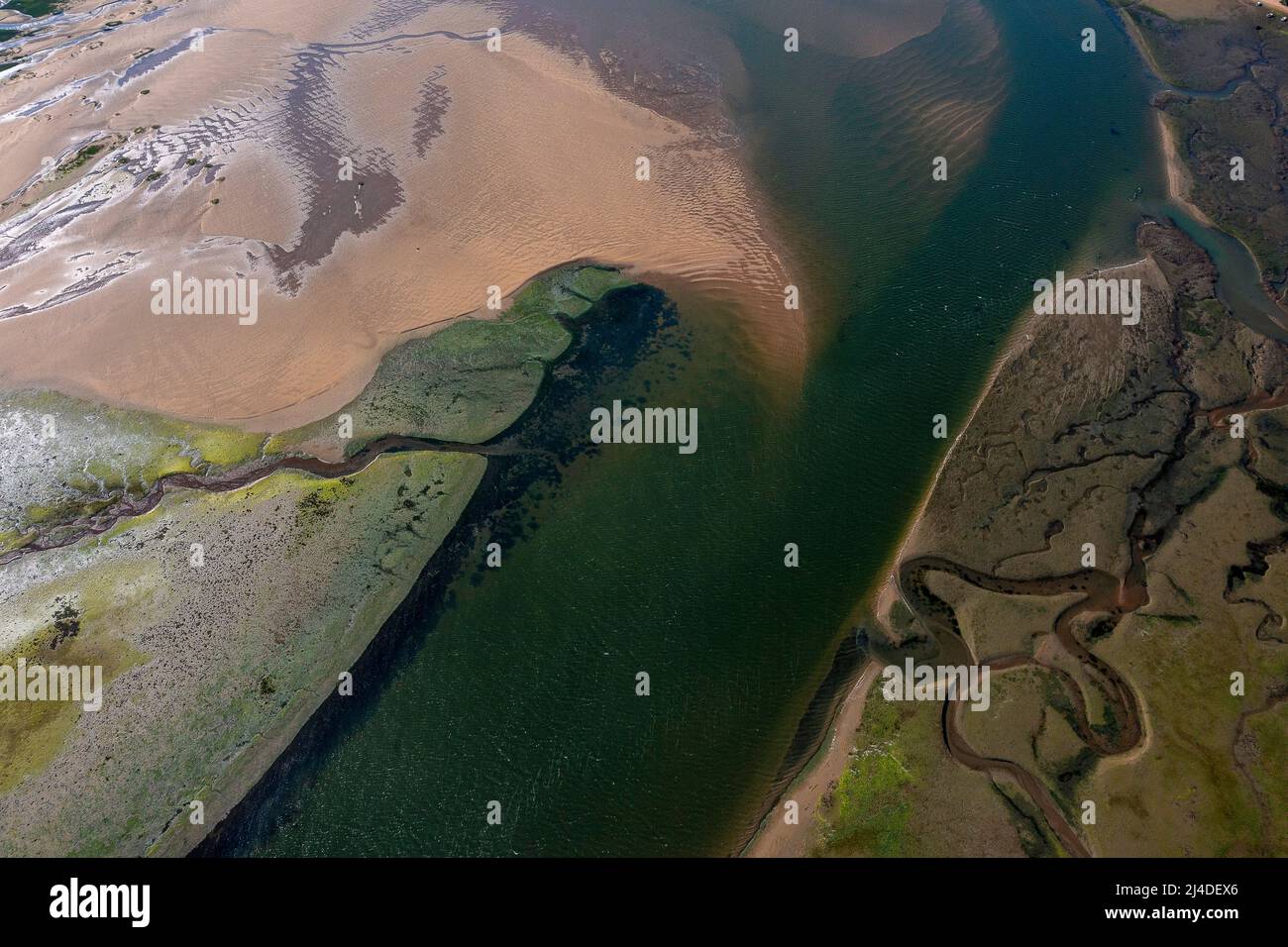 Riserva della biosfera dell'estuario di Urdaibai, estuario del fiume Oka, regione di Gernika-Lumo, provincia di Biscay, Paesi Baschi, Spagna Foto Stock