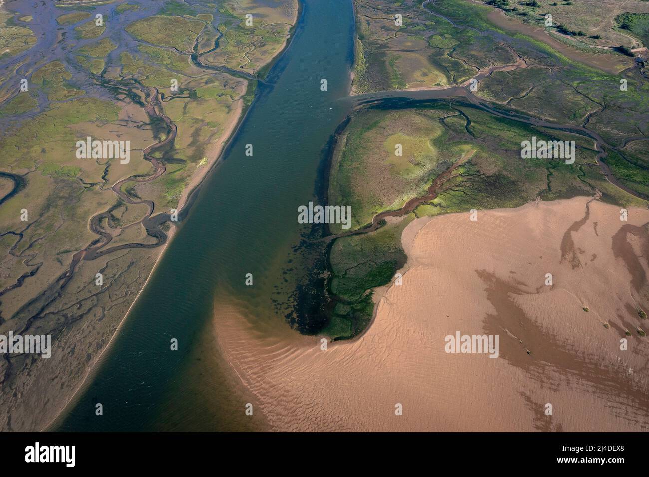 Riserva della biosfera dell'estuario di Urdaibai, estuario del fiume Oka, regione di Gernika-Lumo, provincia di Biscay, Paesi Baschi, Spagna Foto Stock