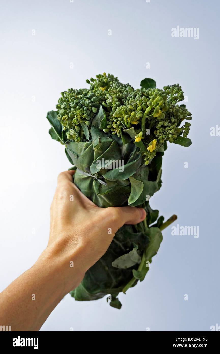 Broccoli a portata di mano su sfondo luminoso Foto Stock