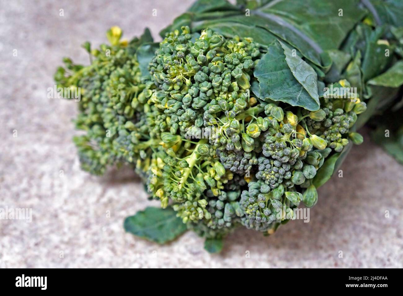 Un fascio di broccoli su sfondo granitico Foto Stock