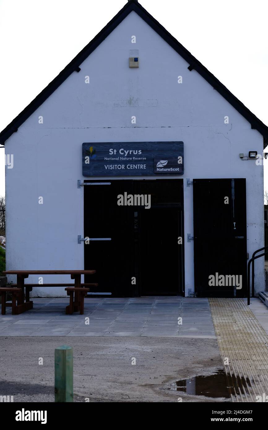 St Cyrus National Nature Reserve Aberdeenshire con paesaggio protetto composto da scogliere e praterie, paesaggio marino e un antico cimitero. Foto Stock