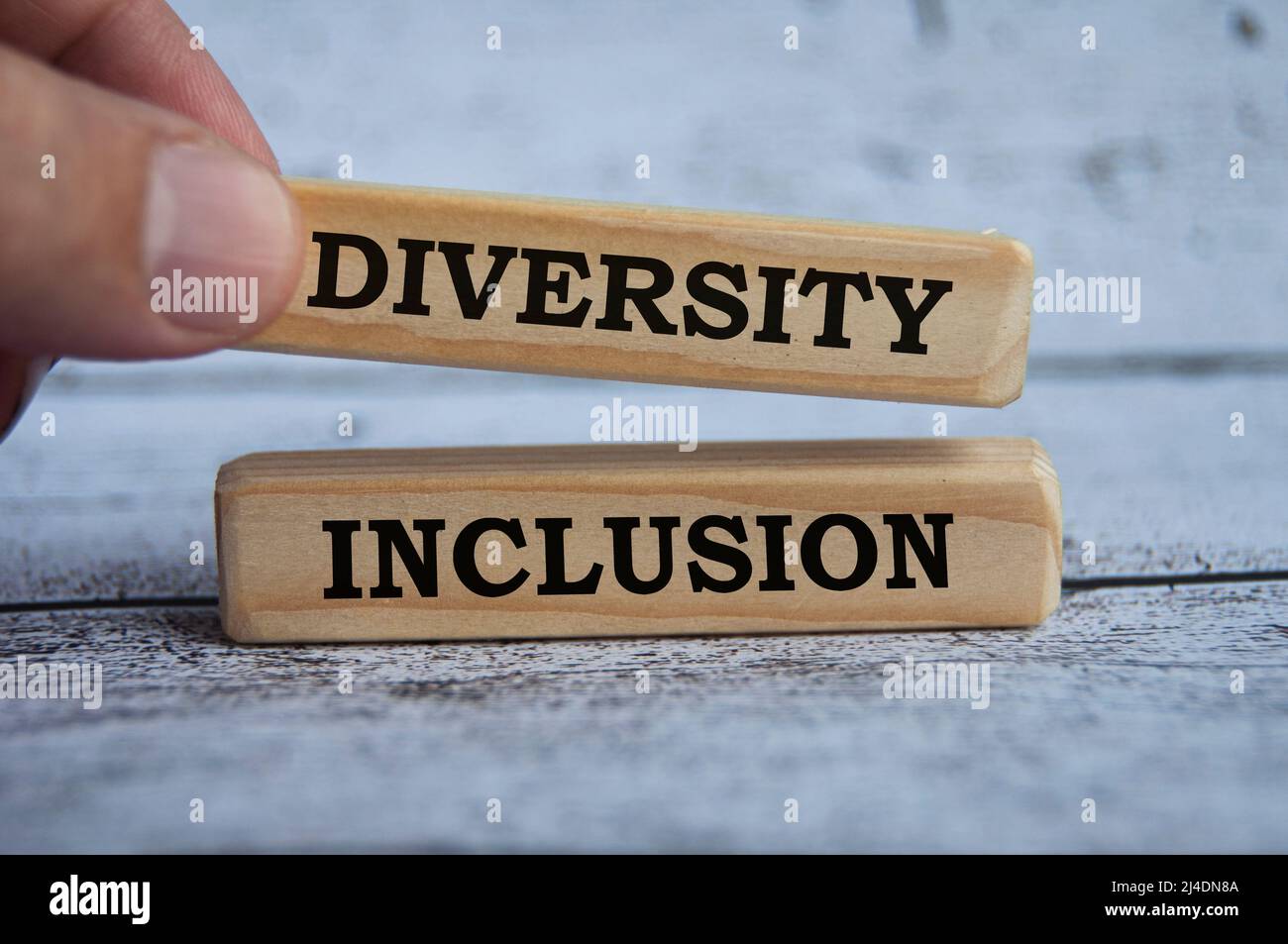Diversità e testo di inclusione su blocchi di legno con. Concetto di diversità Foto Stock