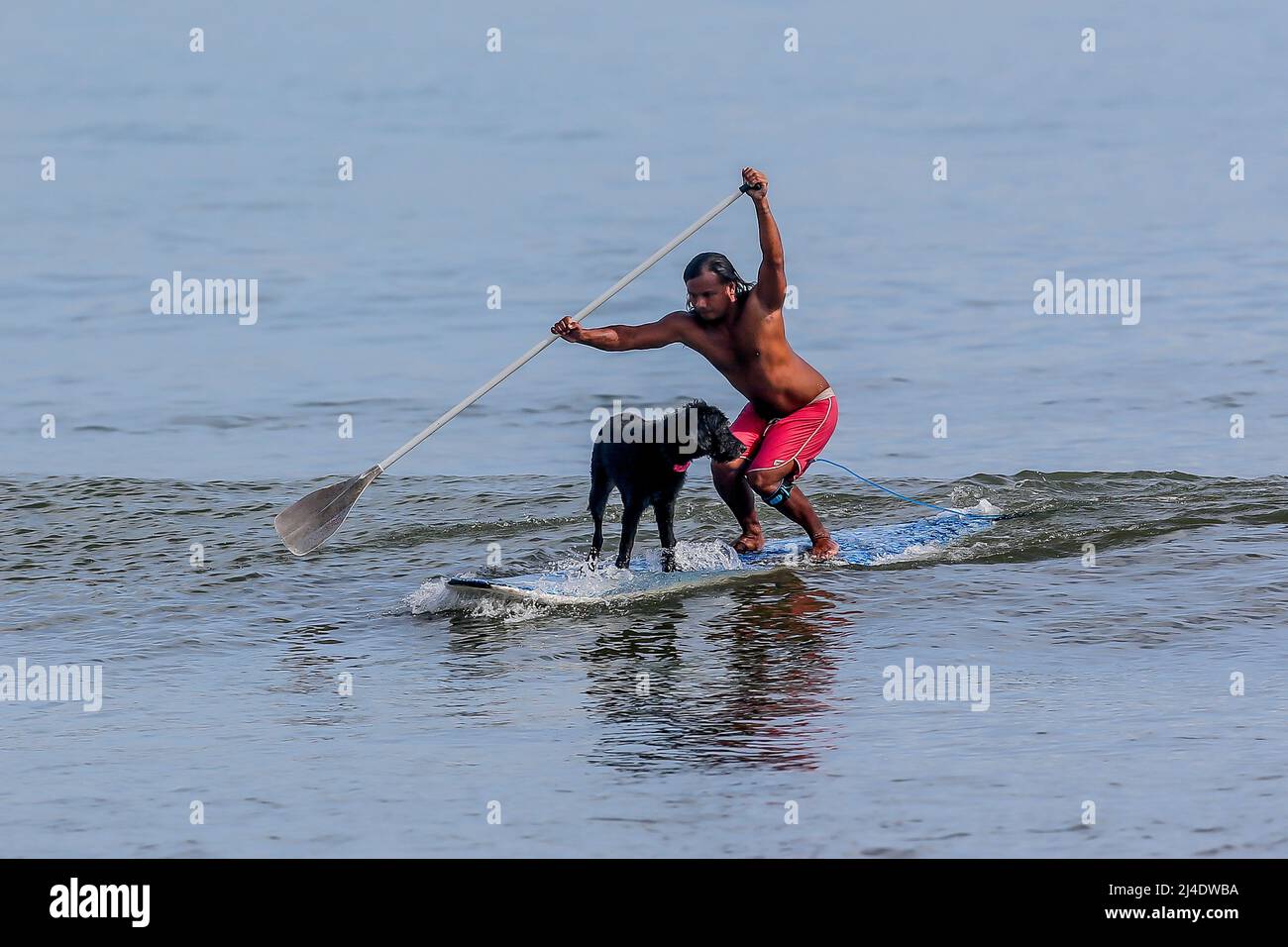 Provincia di Aurora, Filippine. 14th Apr 2022. Il surfista Mario Cardama Jr. E il cane Gordy surf in una spiaggia nella provincia di Aurora, nelle Filippine, 14 aprile 2022. Fondato nel 2016, il Dog Collective è costituito da appassionati di surf che sono anche amanti del cane. Trascorrono il loro tempo libero insegnando ai loro animali domestici adottisi a fare un giro in tavola da surf nel comune di Baler nella provincia di Aurora, che è localmente conosciuta come 'il luogo di nascita del surf delle Filippine.' Credit: Rouelle Umali/Xinhua/Alamy Live News Foto Stock
