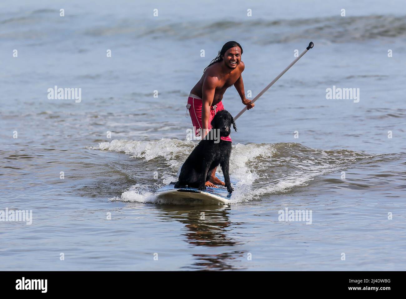 Provincia di Aurora, Filippine. 14th Apr 2022. Il surfista Mario Cardama Jr. E il cane Gordy surf in una spiaggia nella provincia di Aurora, nelle Filippine, 14 aprile 2022. Fondato nel 2016, il Dog Collective è costituito da appassionati di surf che sono anche amanti del cane. Trascorrono il loro tempo libero insegnando ai loro animali domestici adottisi a fare un giro in tavola da surf nel comune di Baler nella provincia di Aurora, che è localmente conosciuta come 'il luogo di nascita del surf delle Filippine.' Credit: Rouelle Umali/Xinhua/Alamy Live News Foto Stock