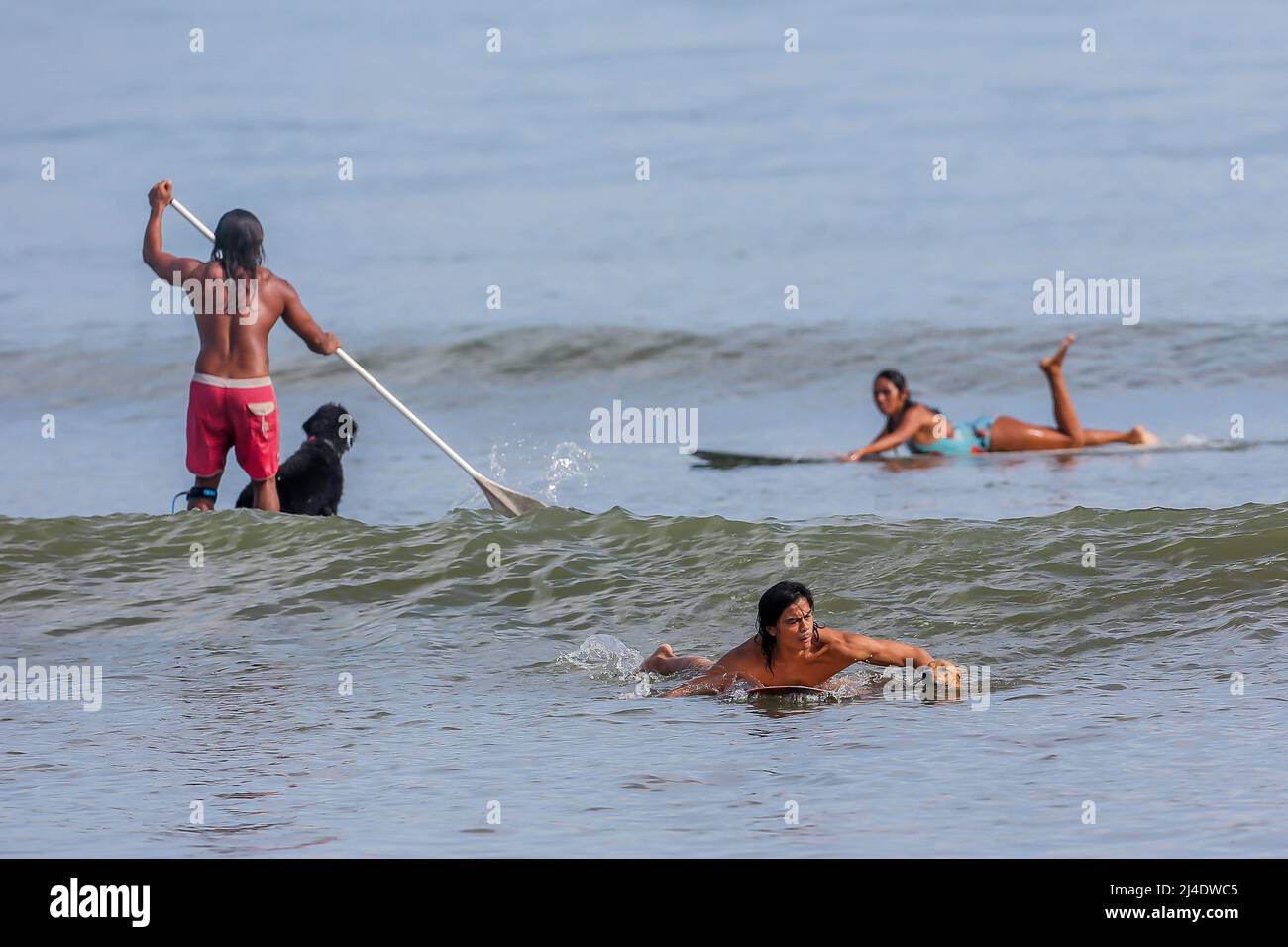 Provincia di Aurora, Filippine. 14th Apr 2022. Surfers e cane Gordy surf in una spiaggia nella provincia di Aurora, le Filippine, 14 aprile 2022. Fondato nel 2016, il Dog Collective è costituito da appassionati di surf che sono anche amanti del cane. Trascorrono il loro tempo libero insegnando ai loro animali domestici adottisi a fare un giro in tavola da surf nel comune di Baler nella provincia di Aurora, che è localmente conosciuta come 'il luogo di nascita del surf delle Filippine.' Credit: Rouelle Umali/Xinhua/Alamy Live News Foto Stock