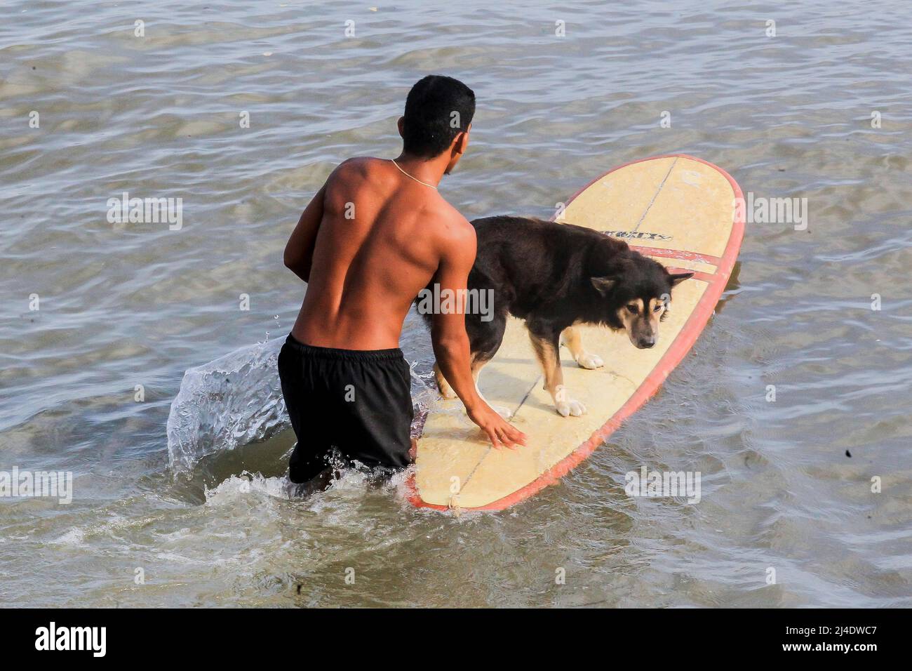 Provincia di Aurora, Filippine. 14th Apr 2022. Un surfer ed il suo cane dal collettivo del cane hanno stabilito per prendere un'onda ad una spiaggia nella provincia di Aurora, le Filippine, 14 aprile 2022. Fondato nel 2016, il Dog Collective è costituito da appassionati di surf che sono anche amanti del cane. Trascorrono il loro tempo libero insegnando ai loro animali domestici adottisi a fare un giro in tavola da surf nel comune di Baler nella provincia di Aurora, che è localmente conosciuta come 'il luogo di nascita del surf delle Filippine.' Credit: Rouelle Umali/Xinhua/Alamy Live News Foto Stock