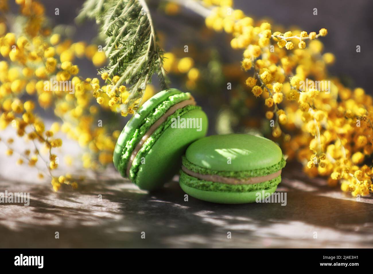 amaretti verdi con fiori gialli Foto Stock