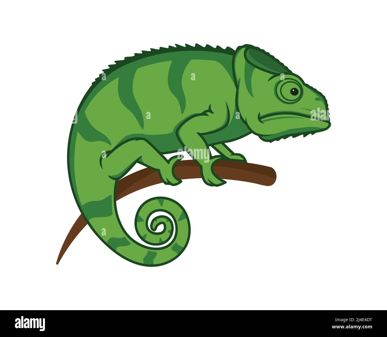 Chameleon è appollaiato sul vettore dell'illustrazione del ramo Illustrazione Vettoriale