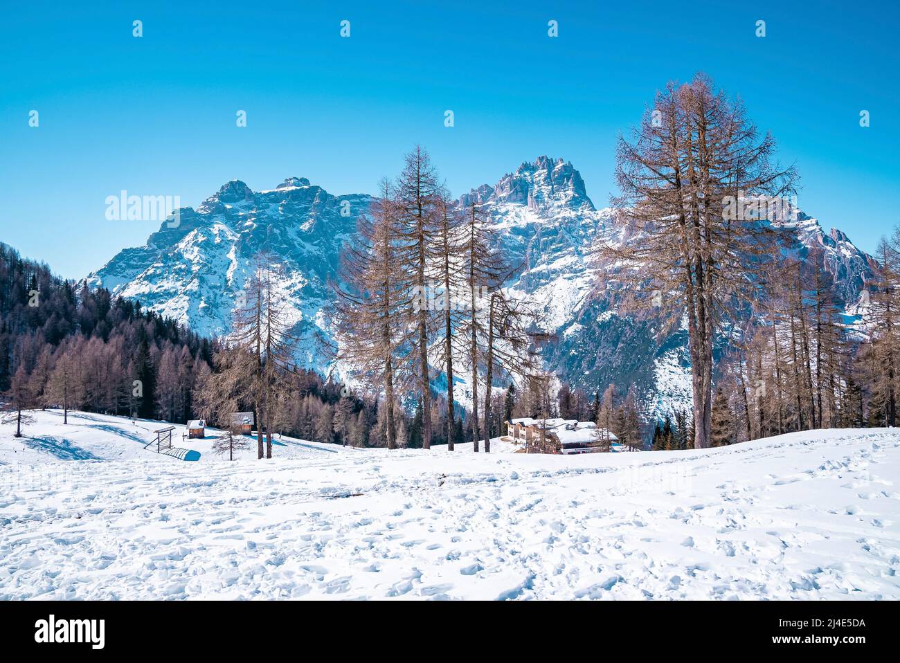 Casa coperta di neve da alberi contro maestosa catena montuosa durante l'inverno Foto Stock