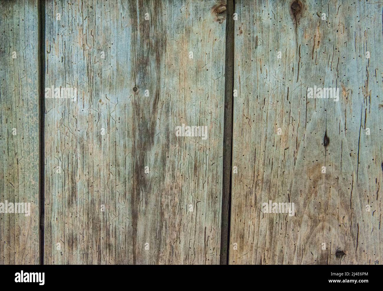 Fondo in legno con tronchi vecchi Foto Stock