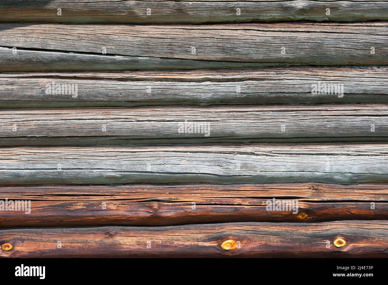 Fondo in legno con tronchi vecchi Foto Stock