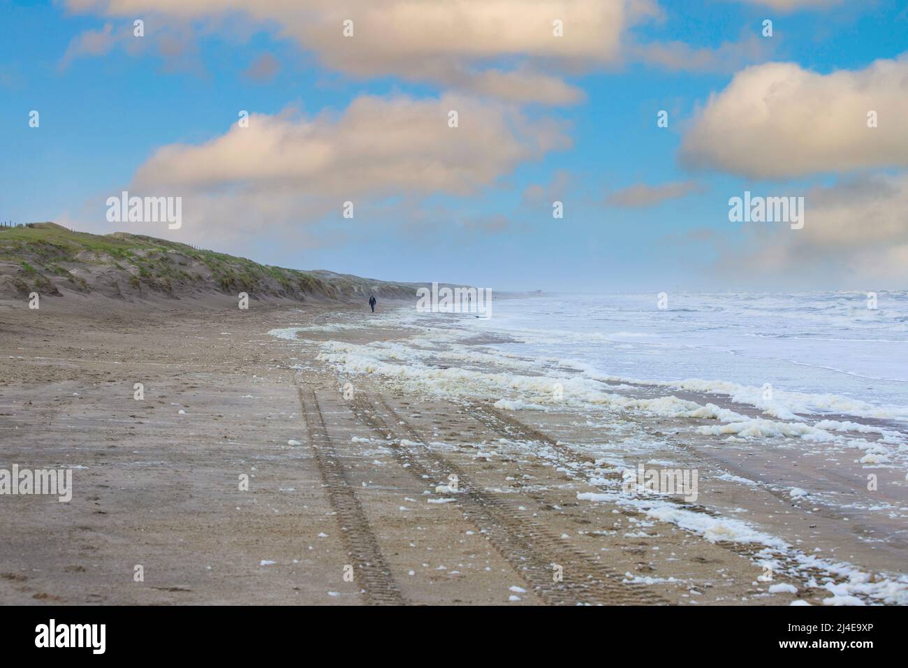 Paesaggio della costa del Mare del Nord con schiuma di alghe microscopiche morte chiamato fitoplancton in questo caso enormi quantità di schiuma alghe che, quando whipp Foto Stock
