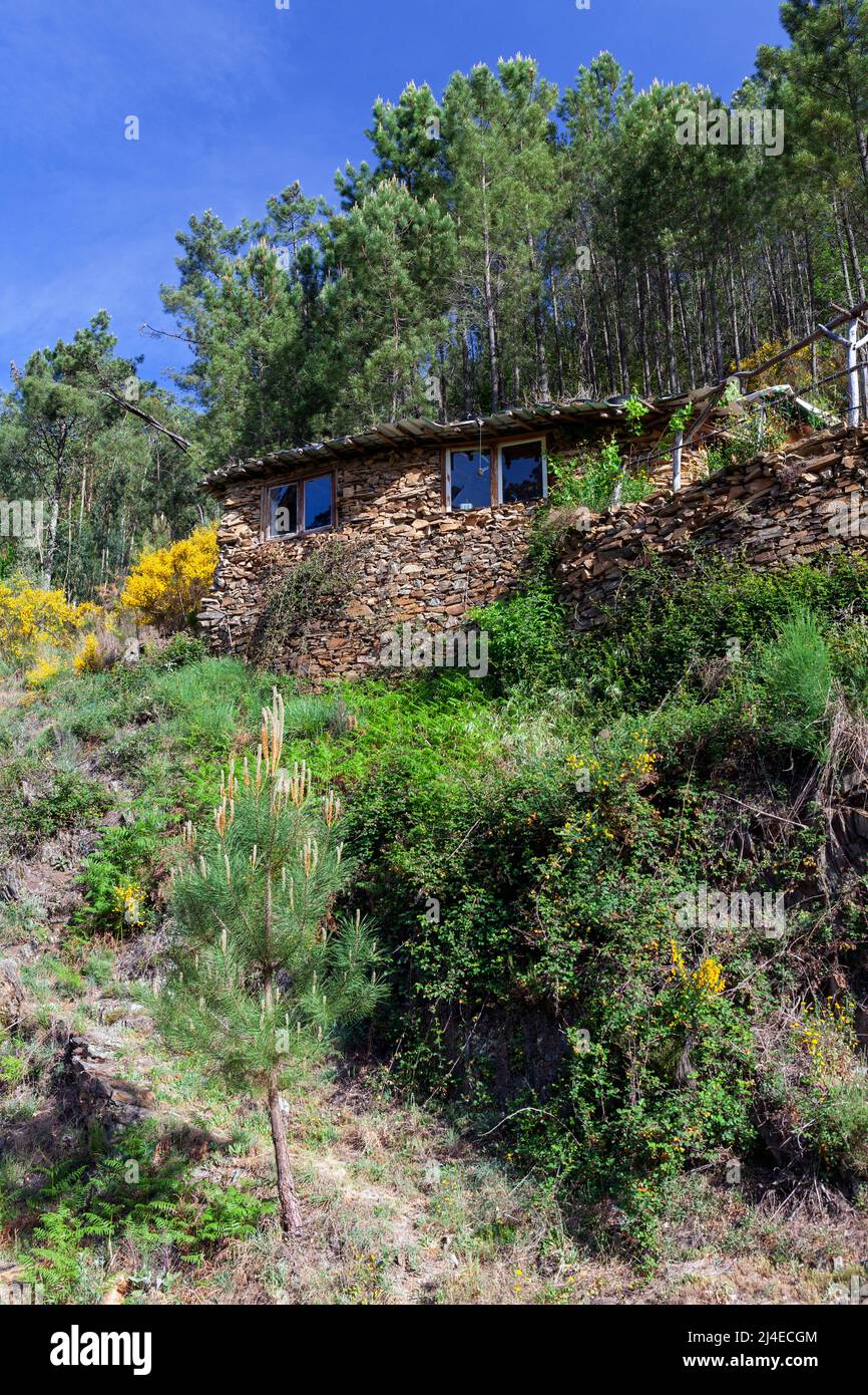 Europa, Portogallo, Distretto di Coimbra, vicino a Góis, 'il Goatshed' (vicino a Colmeal) un edificio agricolo trasformato in una casa off-Grid Foto Stock