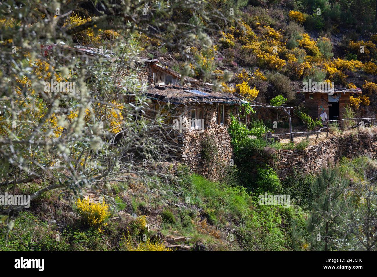 Europa, Portogallo, Distretto di Coimbra, vicino a Góis, 'il Goatshed' (vicino a Colmeal) un edificio agricolo trasformato in una casa off-Grid Foto Stock