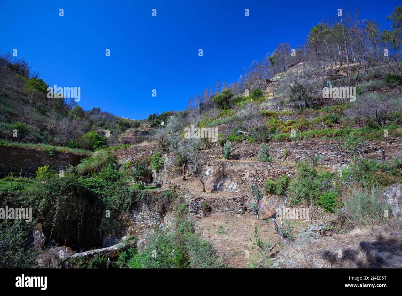Europa, Portogallo, Distretto di Coimbra, vicino a Góis, le rovine del Goatshed (vicino a Colmeal), campi terrazzati su Hillside dopo i devastanti incendi del 2017 Foto Stock