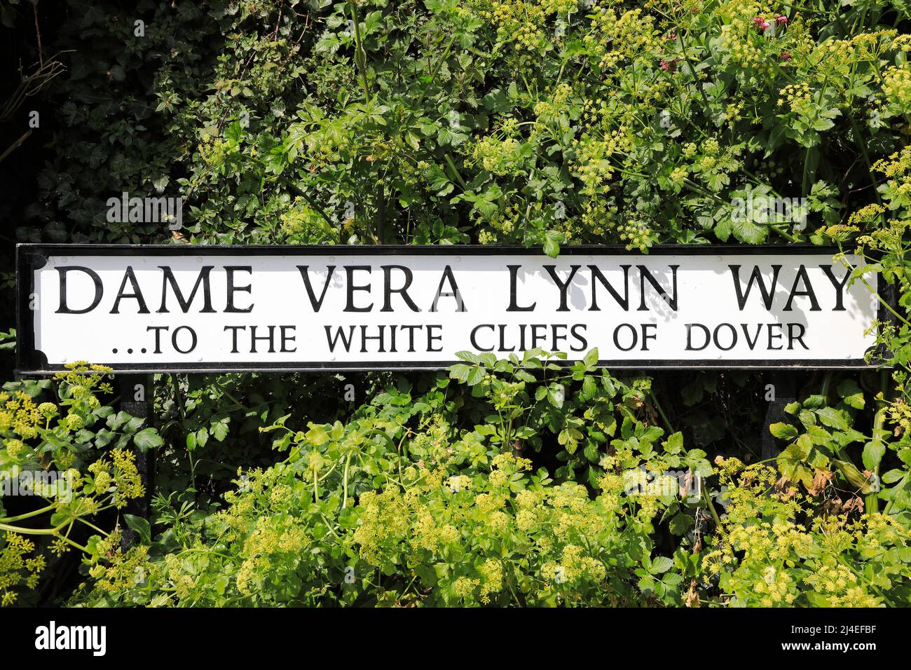 Il sentiero che porta dal lungomare alle bianche scogliere rinominato "Dame vera Lynn Way" con un nuovo segno, a dover, Kent, Regno Unito Foto Stock