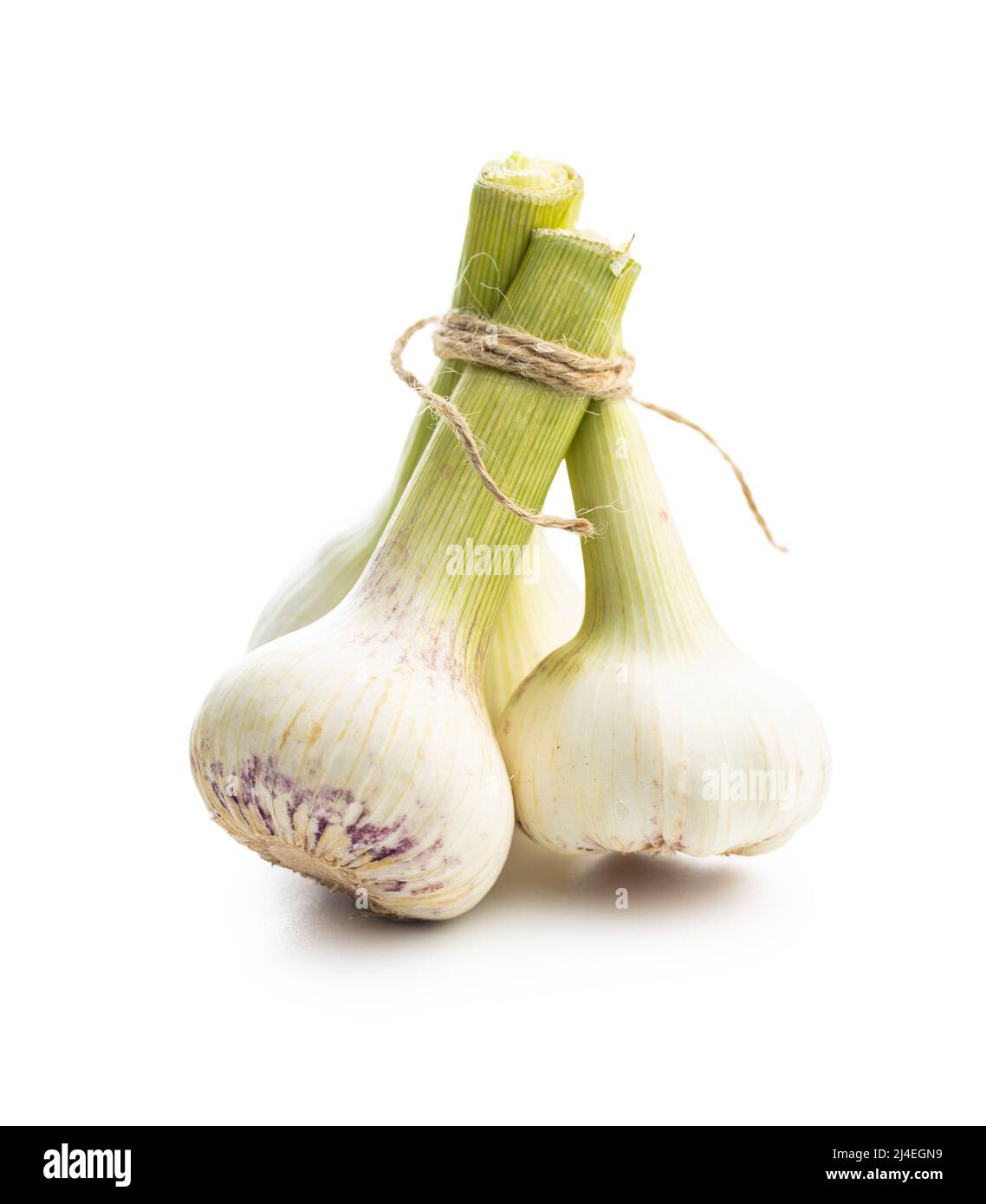 Bulbo intero all'aglio. Aglio bianco fresco isolato su sfondo bianco. Foto Stock