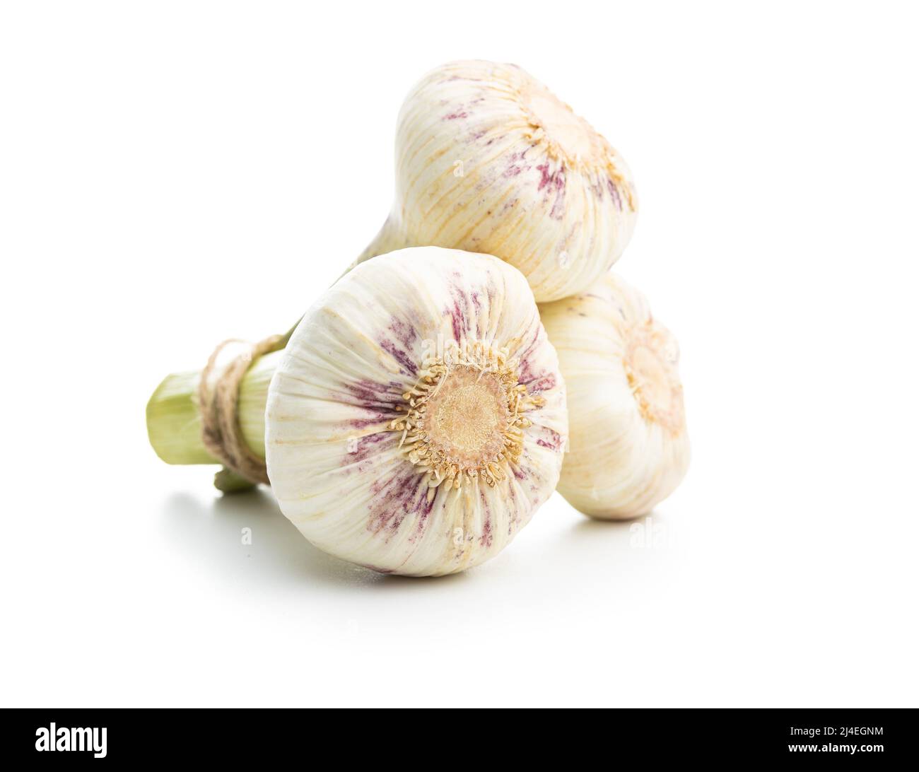Bulbo intero all'aglio. Aglio bianco fresco isolato su sfondo bianco. Foto Stock