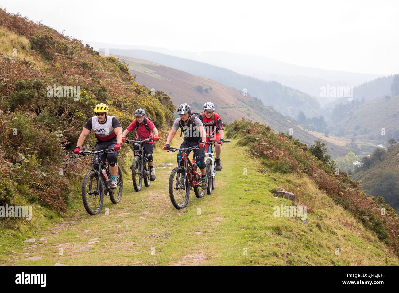 Ciclisti di montagna in pista fino alla valle di Grwyne Fawr; Galles; Regno Unito Foto Stock